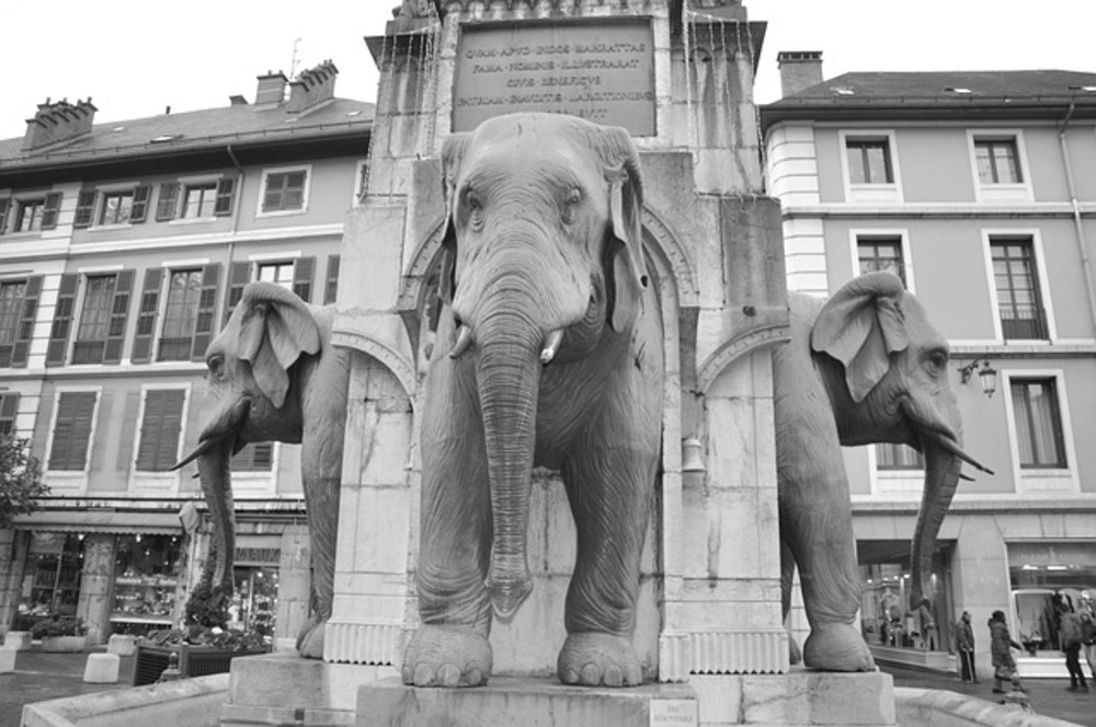 Déménagement Chambéry : partez en Savoie !